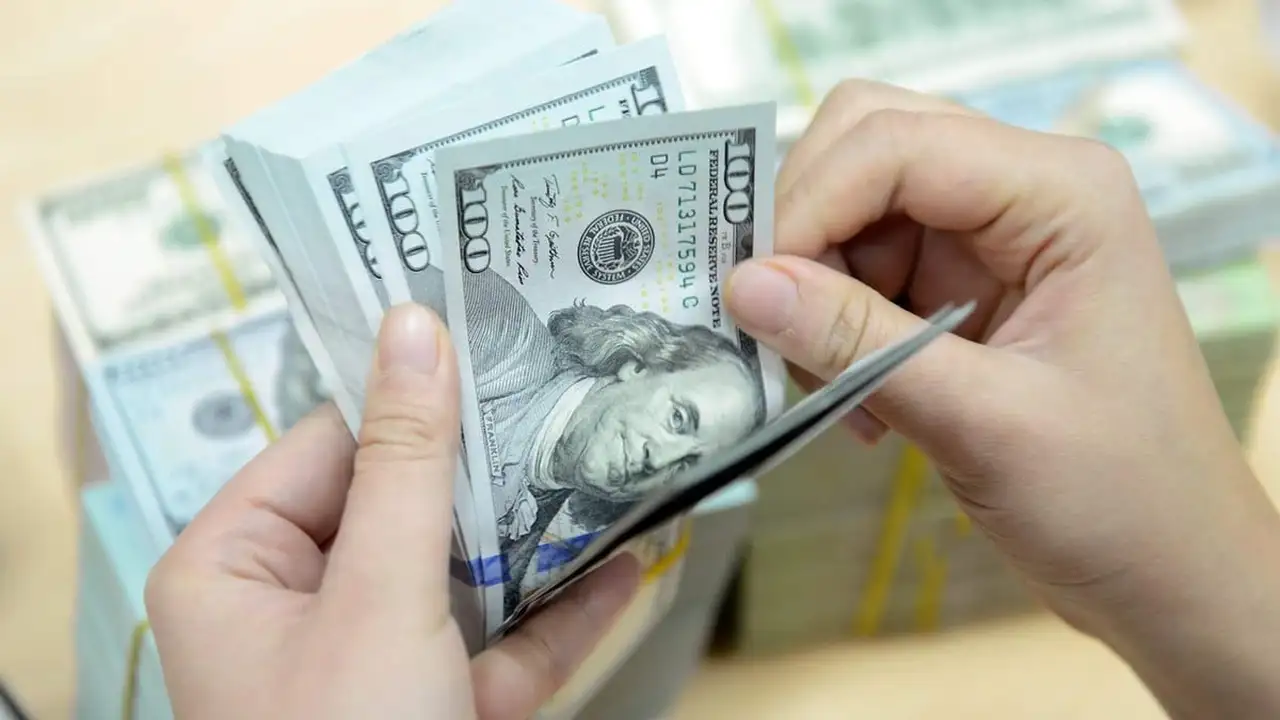 سعر الدولار الأمريكي يرتفع في السوق الحرة اليوم 23 يونيو 2026